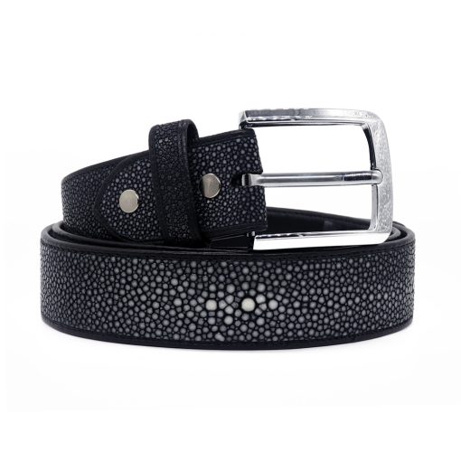 Polished stingray belt - Image 4