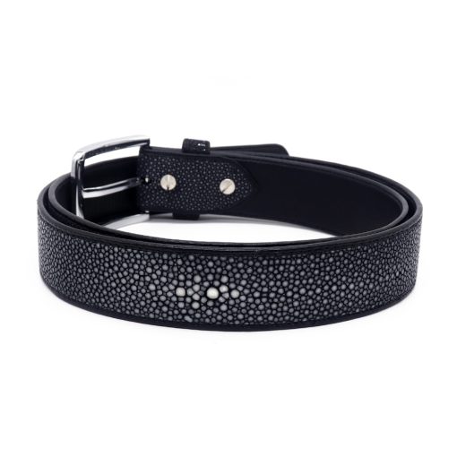 Polished stingray belt - Image 3