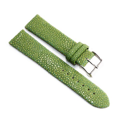 bracelet montre galuchat celadon 1