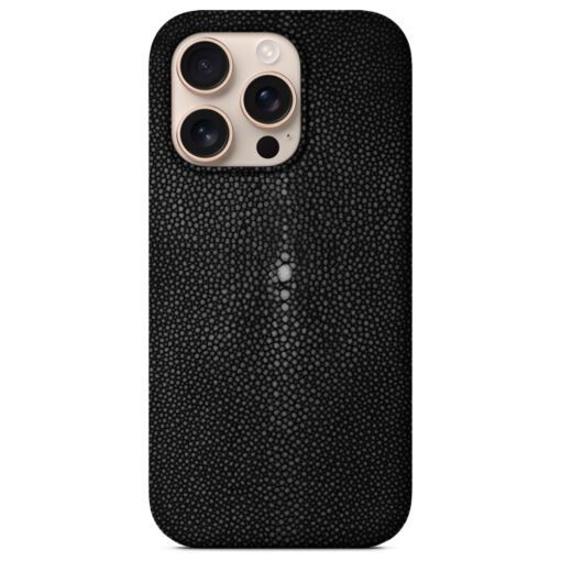 iPhone 16 Pro Max case in stingray