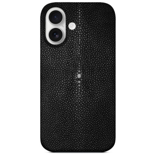 iPhone 16 case in stingray